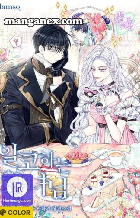 The Closet Fan Princess Cover Image